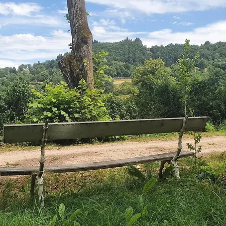 Avec Terrasse Et Wifi Au Puy-en-velay - Fr-1-582-331 Holiday home